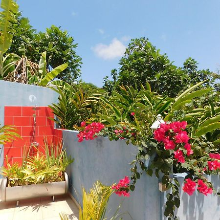 Les Hauts De Sainte-Anne "2 Spas Privatifs" Sainte-Anne (Grande-Terre) Exterior foto